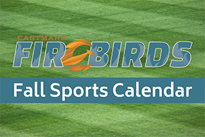 Firebirds Fall Sports Calendar graphic